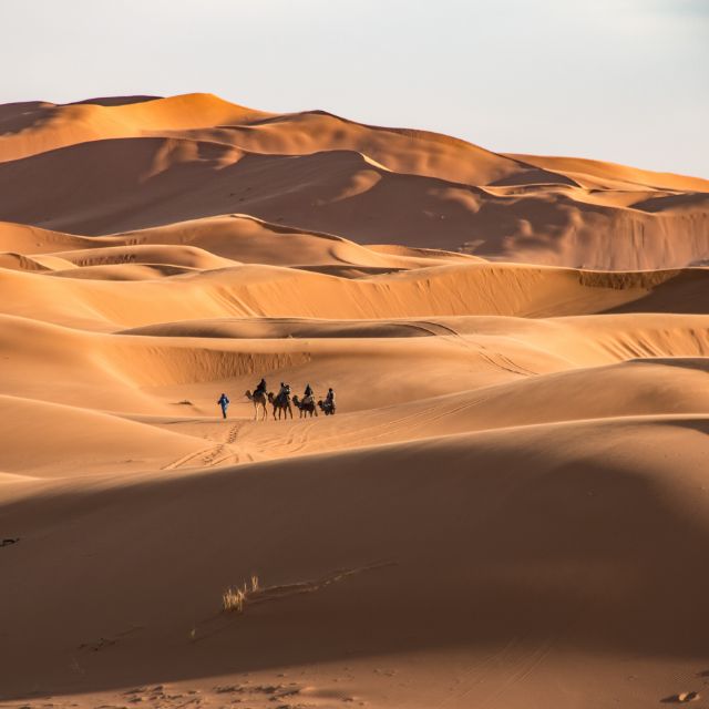 Découvrez notre accompagnement