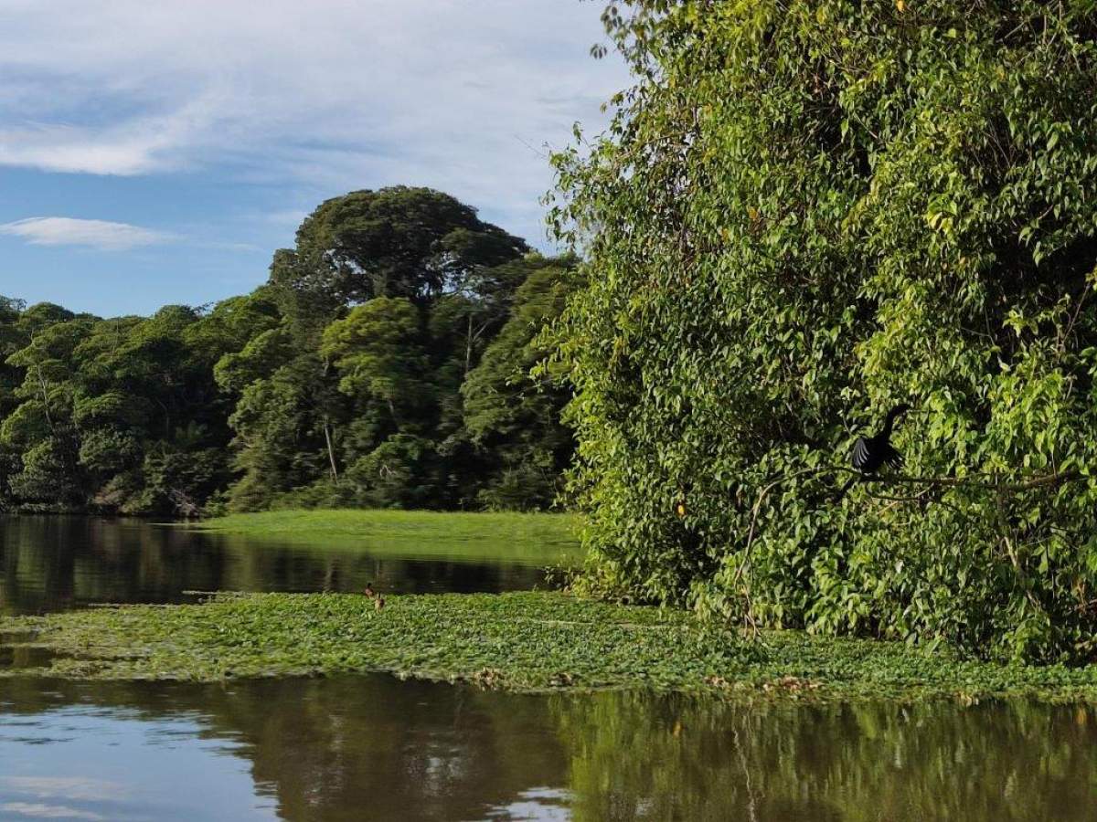 Le Costa Rica vu par Marie-Laure Odicino