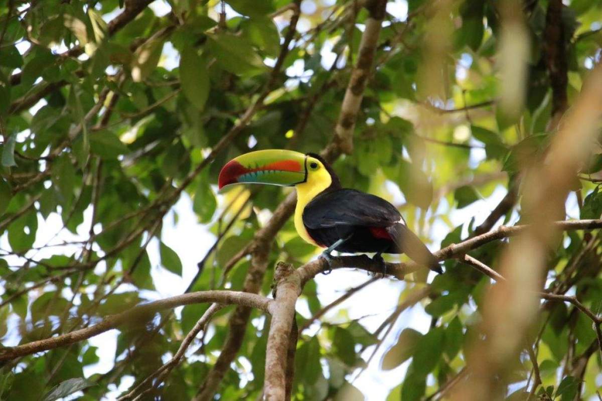 Le Costa Rica vu par Marie-Laure Odicino